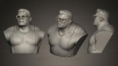 Busts and bas-reliefs of famous people (BUSTC_0151) 3D model for CNC machine